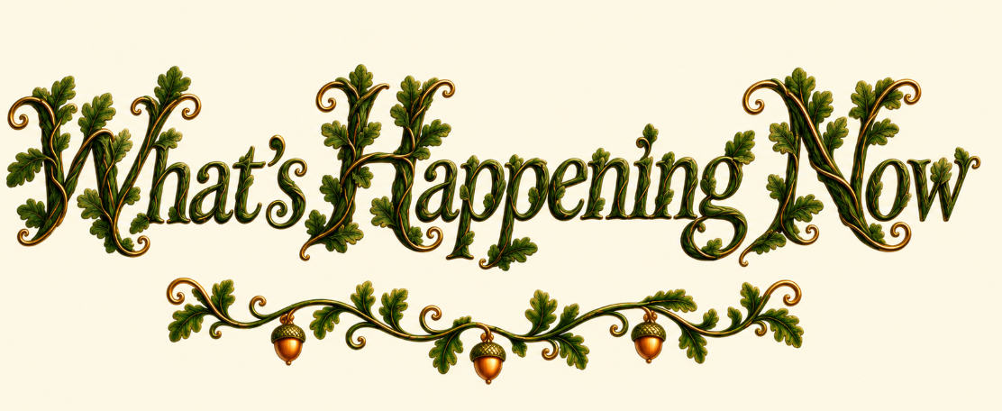 What’s Happening Now